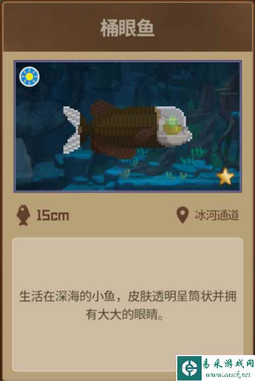 潜水员戴夫桶眼鱼在哪里 桶眼鱼位置分享