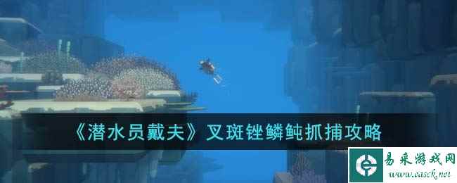 《潜水员戴夫》叉斑锉鳞鲀抓捕攻略