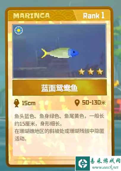 《潜水员戴夫》蓝面鸳鸯鱼抓捕攻略