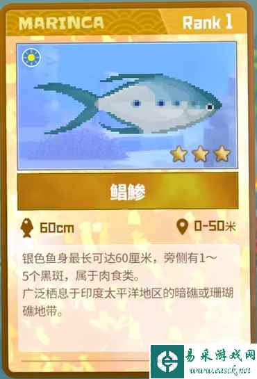 《潜水员戴夫》鲳鰺抓捕攻略