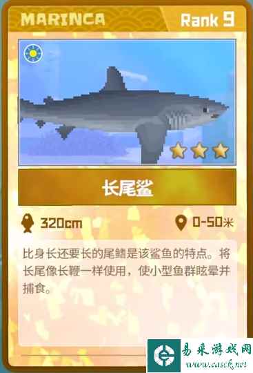 《潜水员戴夫》长尾鲨抓捕攻略
