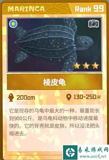 《潜水员戴夫》棱皮龟抓捕攻略