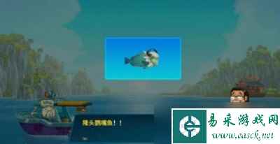 《潜水员戴夫》长了角的鹦嘴鱼任务完成方法一览