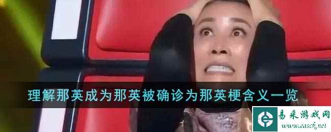 理解那英成为那英被确诊为那英梗含义一览