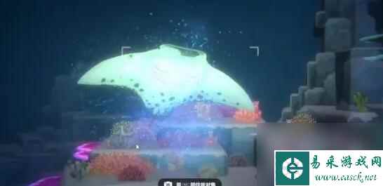 潜水员戴夫拍照方法技巧分享