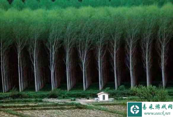 这32张照片治愈到你了吗？强迫症们看了大呼爽歪歪