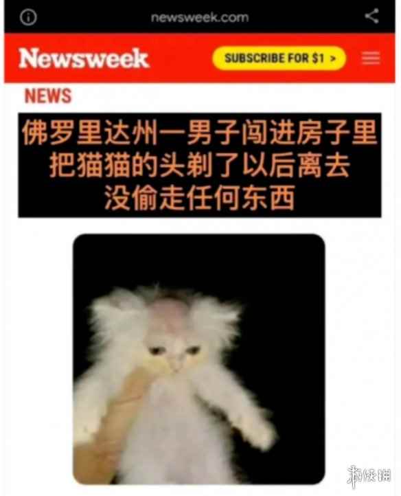 为什么都说“云南是中国人自己的佛罗里达州”？