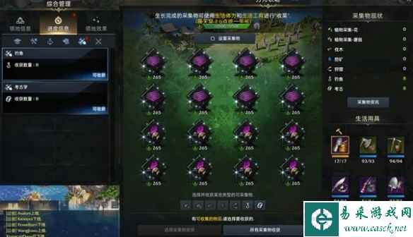 网11