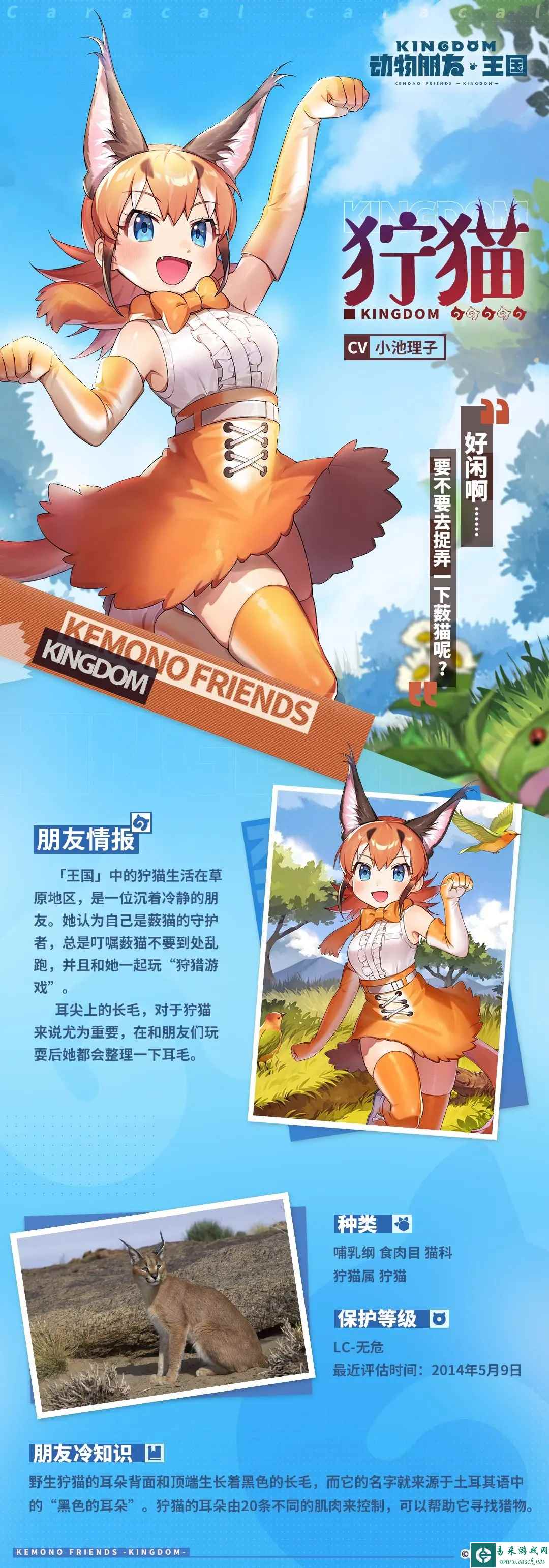 《动物朋友：王国》狞猫角色情报分析
