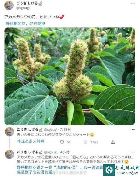 你最好是“清澈的心灵” 囧图 这开档难道不性感吗？