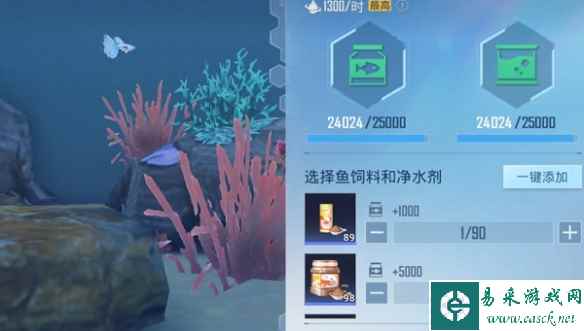 网4