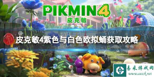 《皮克敏4》紫色与白色欧拟蛹获取攻略 紫色与白色欧拟蛹怎么获得?