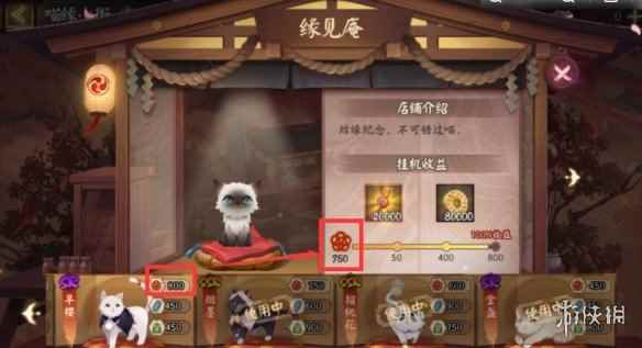 网12