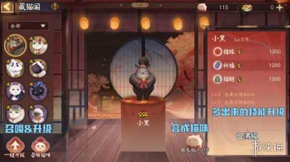网17