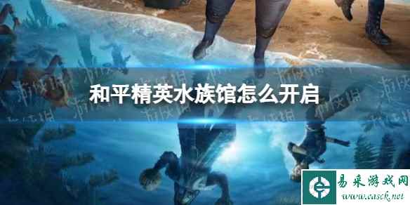 网1