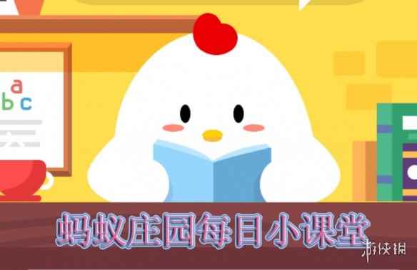 网