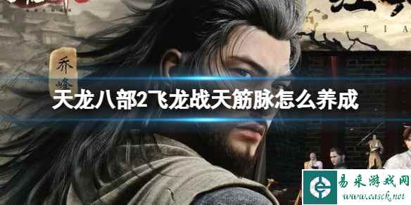 网1