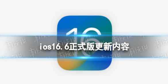 网1