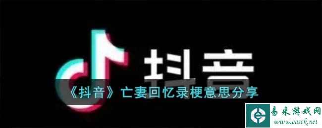 《抖音》亡妻回忆录梗意思分享