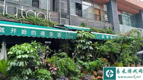 映众十周年粉丝会精彩回顾  美女美食显卡全都有