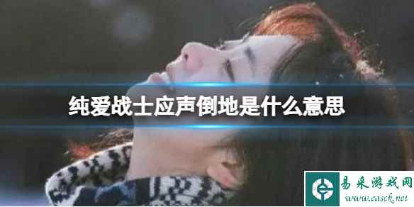 纯爱战士应声倒地是什么意思 纯爱战士应声倒地含义
