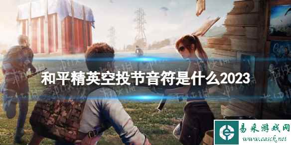 网1