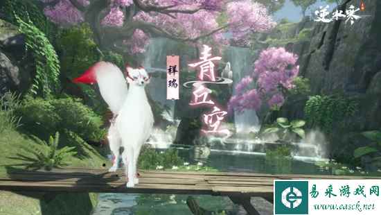 网2