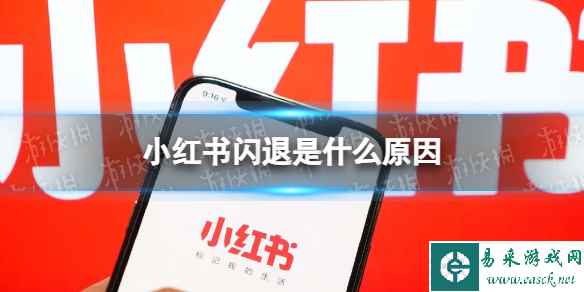 网1