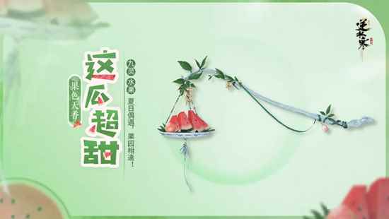 网6