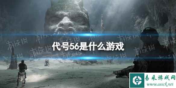 网1
