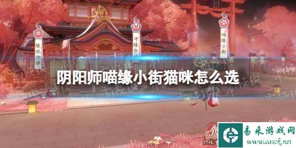 《阴阳师》喵缘小街猫咪怎么选 再结前缘喵缘小街满收益攻略