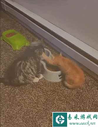 放开孩子冲我来 动图 这就是传说中的躺着把钱挣了？