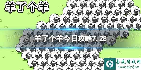 网1