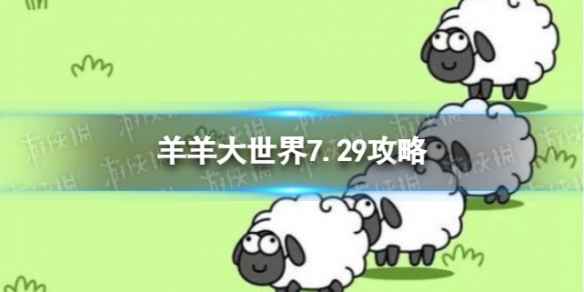 网1