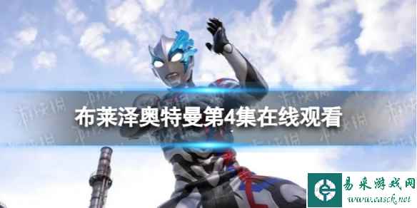 网1