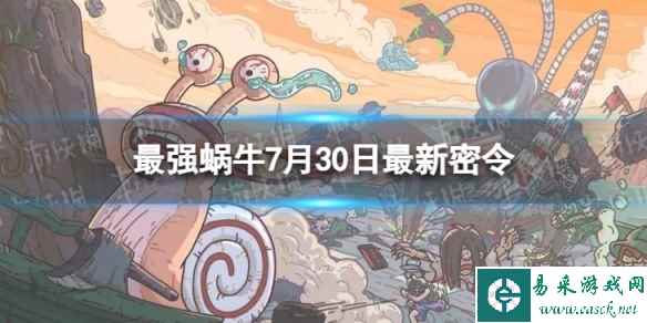 网1