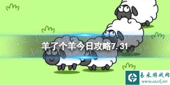 网1