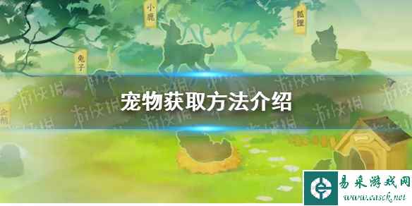 《逆水寒手游》宠物获取方法介绍