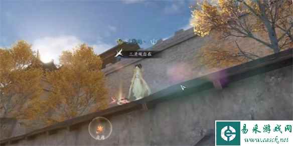 网5