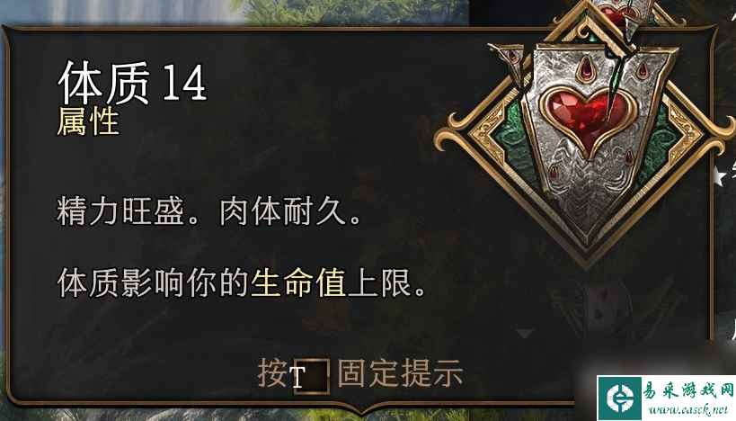 博德之门3体质属性介绍