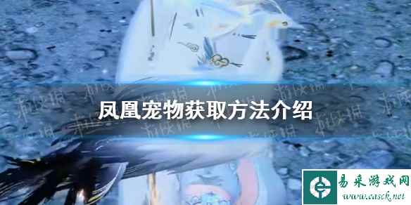 网1