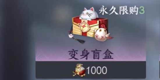 网5