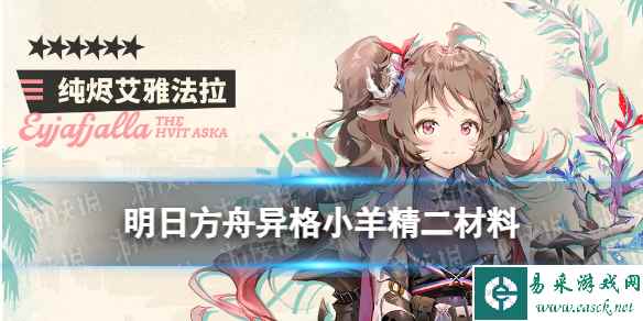 网1