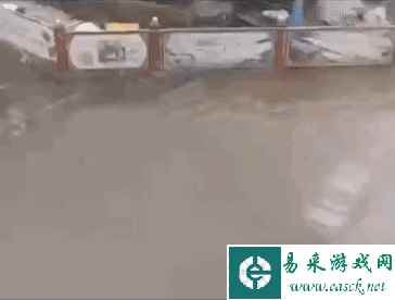 为啥五菱宏光是神车 动图 两只蚂蚁拖走大蟑螂的奇观