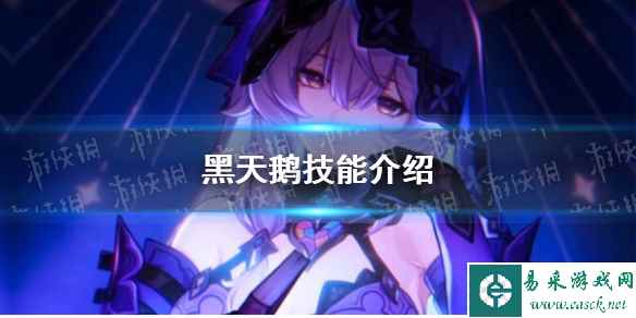 网1