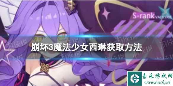 网1