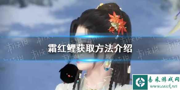网1