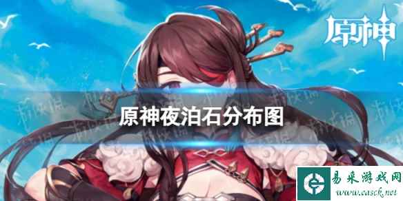 网1