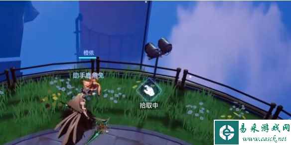 网11