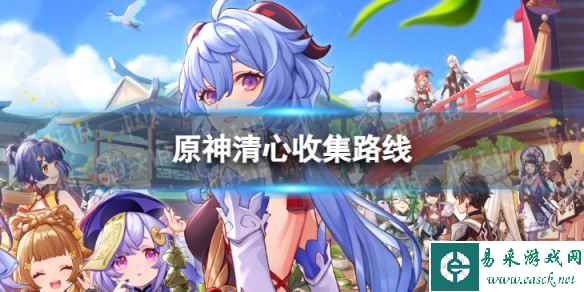 网1